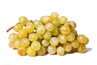 Similar image 1751320