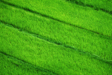 Similar image 1751511