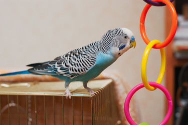 Similar image 1751758