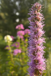 Similar image 1751817