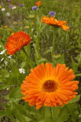 Similar image 1751818