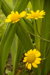 Similar image 1751819