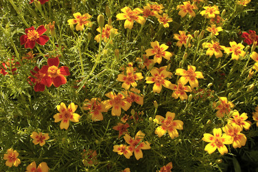 Similar image 1751838