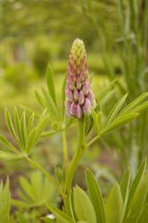 Similar image 1751839