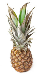 Similar image 1751840