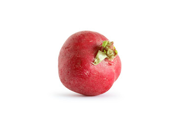 Similar image 1751849