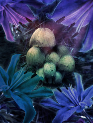 Similar image 1752040