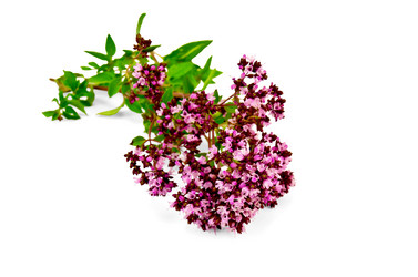 Similar image 1752082