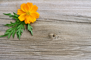 Similar image 1752144