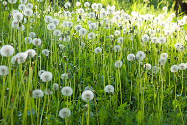 Similar image 1752189