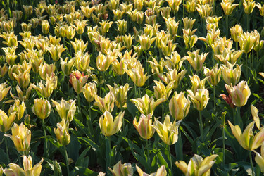 Similar image 1752214