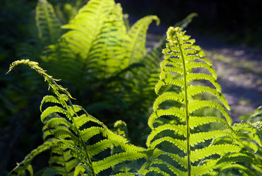 Similar image 1752261