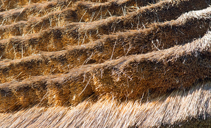 Similar image 1752274