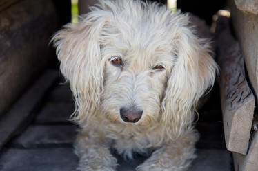 Similar image 1752275