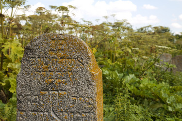 Similar image 1752388