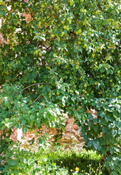 Similar image 1752399