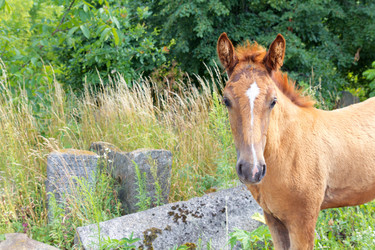 Similar image 1752425