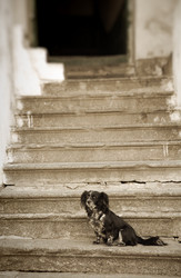 Similar image 1752441