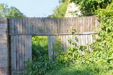 Similar image 1752442