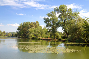 Similar image 1752443