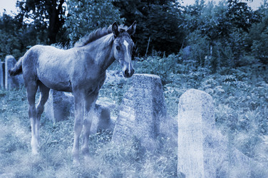 Similar image 1752446