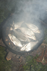 Similar image 1752515