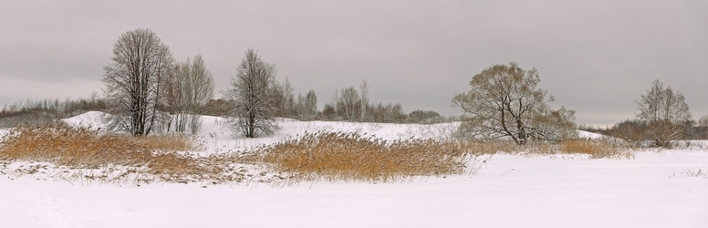 Similar image 1752530