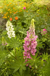 Similar image 1752536