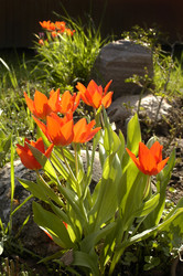 Similar image 1752537