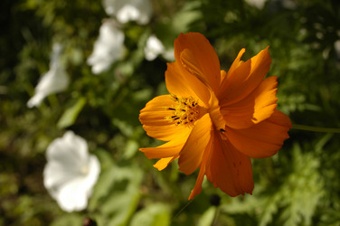 Similar image 1752538