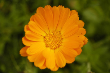 Similar image 1752539