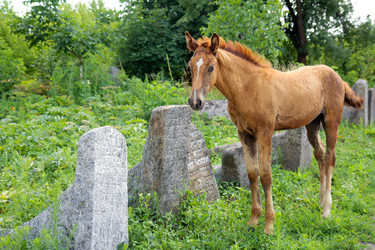 Similar image 1752551