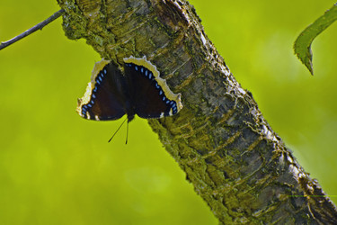 Similar image 1752557