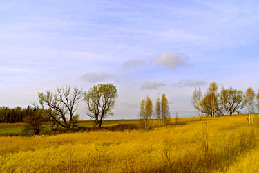 Similar image 1752567