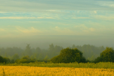 Similar image 1752571