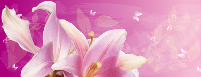 Similar image 1752652