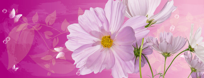 Similar image 1752703