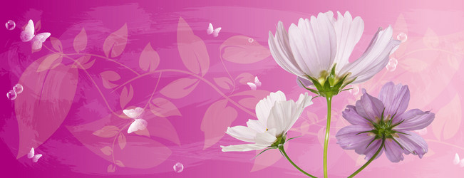 Similar image 1752704