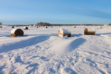 Similar image 1752762