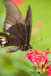 Similar image 1752978