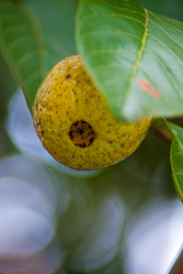 Similar image 1752979