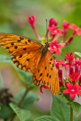 Similar image 1752982