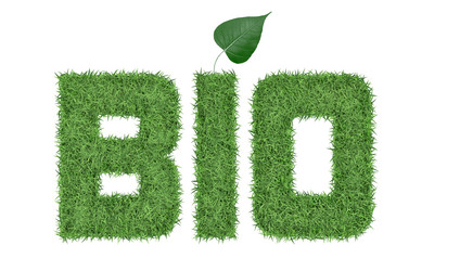 Similar image 1753111