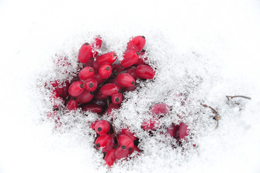 Similar image 1753121