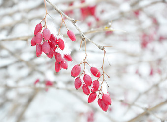 Similar image 1753122