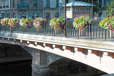 Similar image 1753128