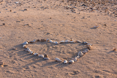 Similar image 1753131