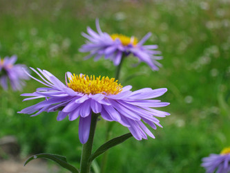 Similar image 1753232