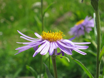 Similar image 1753236