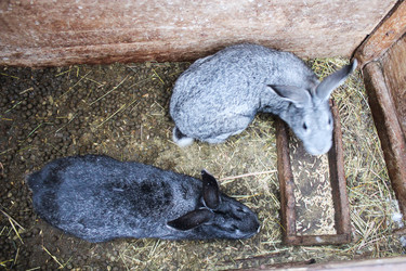 Similar image 1753295